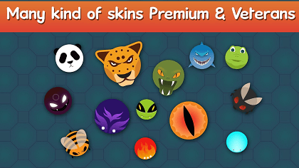 Cool Bonk Skins To Make